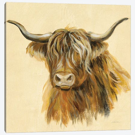 Highland Animal Cow Canvas Print #SIV124} by Silvia Vassileva Canvas Wall Art