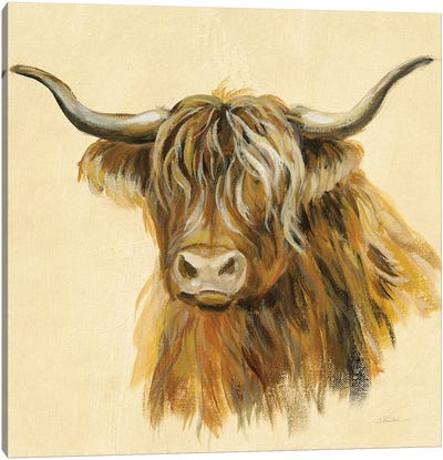 Highland Animal Cow Canvas Art Print - Highland Cow Art