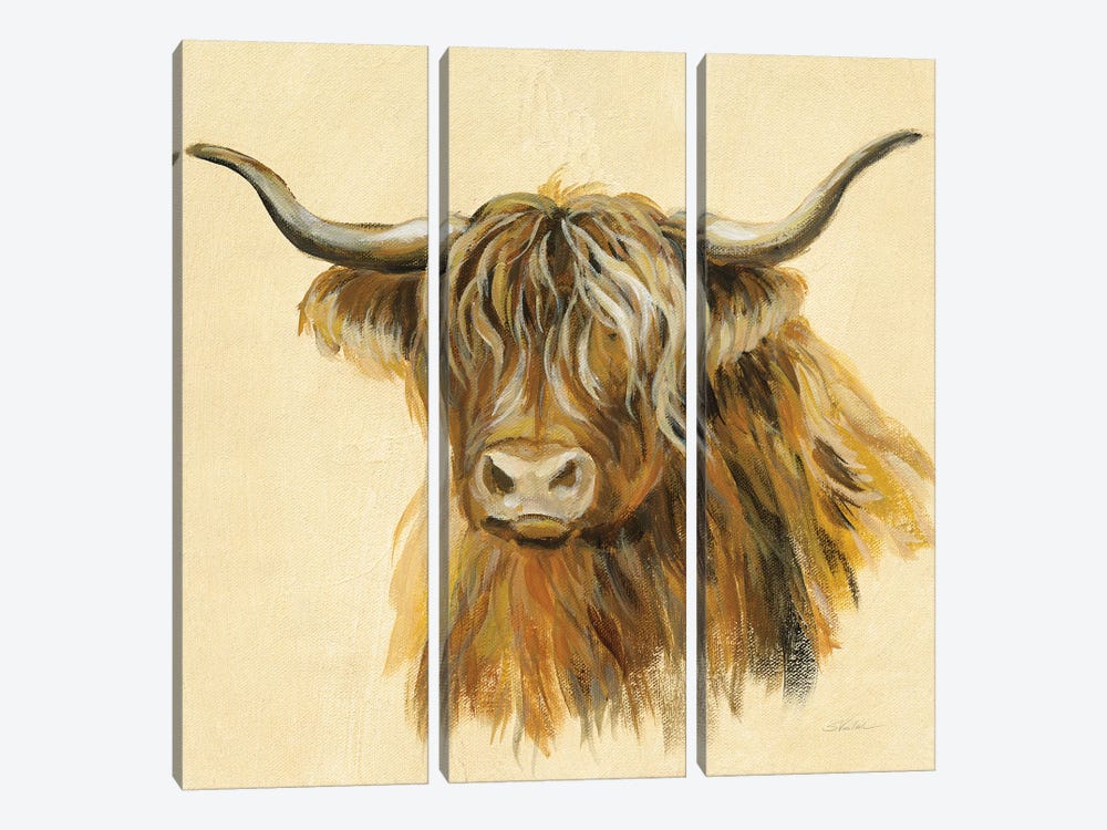 Highland Animal Cow by Silvia Vassileva 3-piece Canvas Art Print