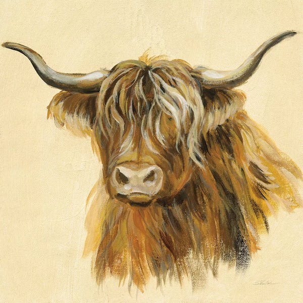 Highland Animal Cow