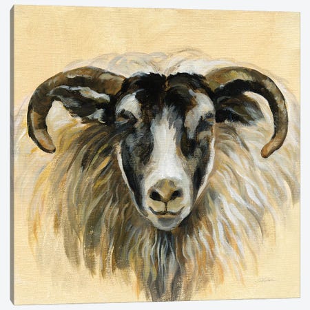 Highland Animal Ram Canvas Print #SIV125} by Silvia Vassileva Canvas Art