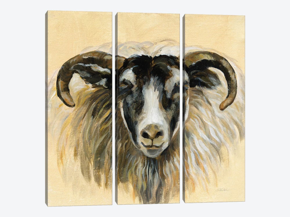 Highland Animal Ram by Silvia Vassileva 3-piece Canvas Artwork
