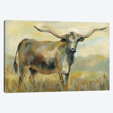 Longhorn Cow Canvas Print #SIV130} by Silvia Vassileva Canvas Art