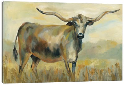 Longhorn Cow Canvas Art Print - Longhorn Art