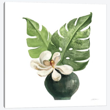 Tropical Leaves II on White Canvas Print #SIV134} by Silvia Vassileva Canvas Art Print