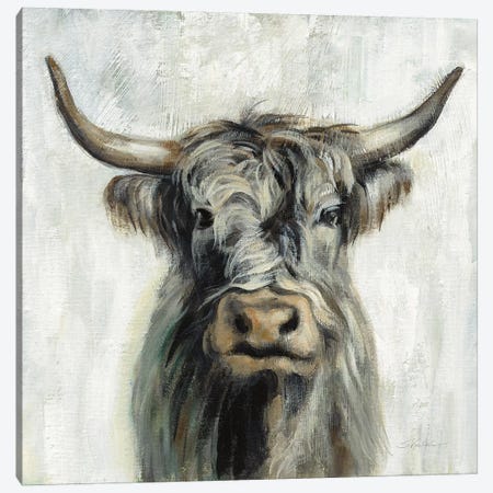 Highland Cow Canvas Print #SIV170} by Silvia Vassileva Canvas Wall Art