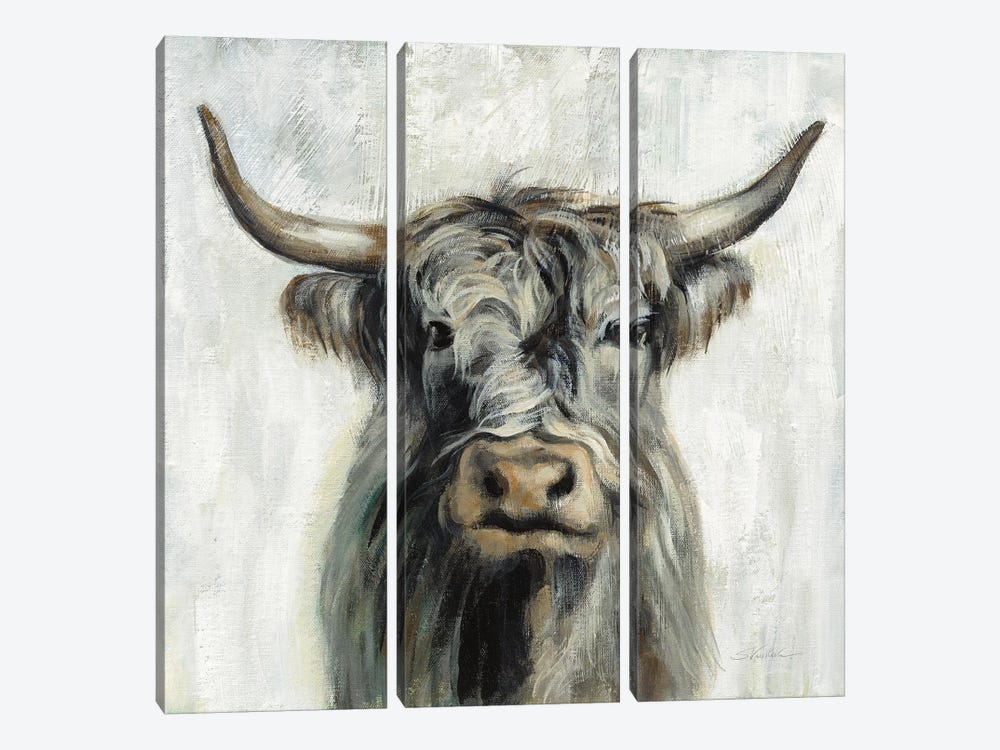 Highland Cow by Silvia Vassileva 3-piece Canvas Artwork