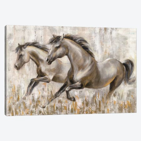 Running Horses Canvas Print #SIV183} by Silvia Vassileva Art Print