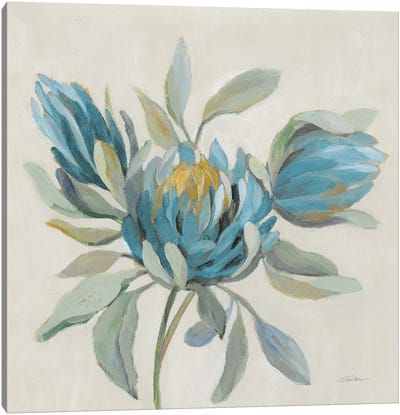 Field Floral I Blue Canvas Art Print - Protea