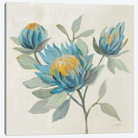 Field Floral II Blue Canvas Print #SIV234} by Silvia Vassileva Canvas Artwork