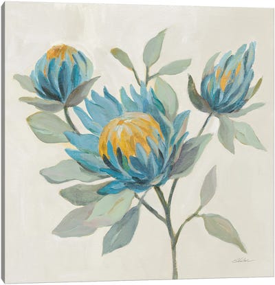 Field Floral II Blue Canvas Art Print - Protea