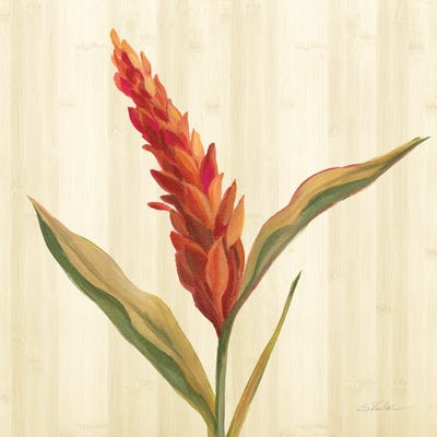 Tropical Garden II by Silvia Vassileva canvas print