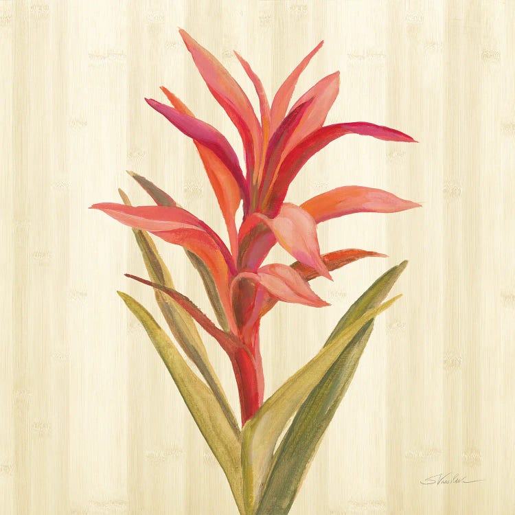 Tropical Garden III by Silvia Vassileva wall art