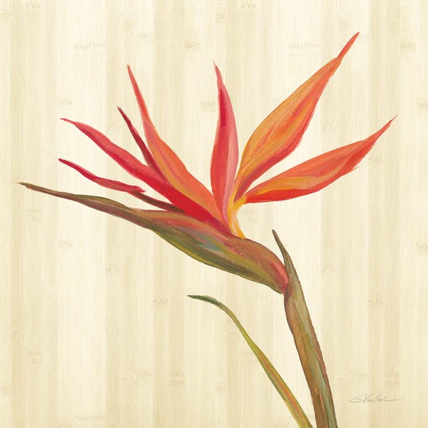 Birds Of Paradise: Tropical Garden IV by Silvia Vassileva