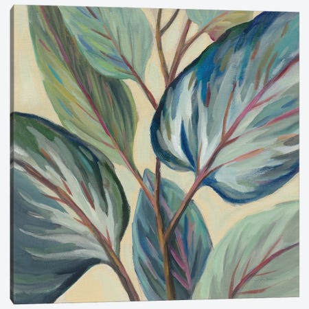 Greenhouse Leaves Canvas Print #SIV289} by Silvia Vassileva Canvas Wall Art