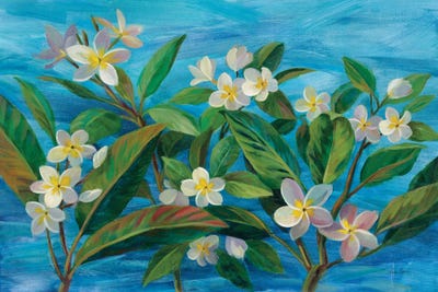 Oceanside Plumeria by Silvia Vassileva acrylic art print