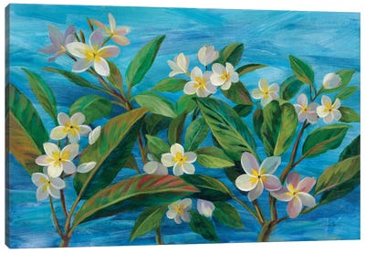 Oceanside Plumeria Canvas Art Print - Silvia Vassileva
