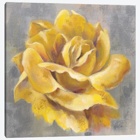 Yellow Roses I Canvas Print #SIV316} by Silvia Vassileva Canvas Print