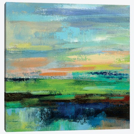 Delmar Sunset II Canvas Print #SIV32} by Silvia Vassileva Canvas Art