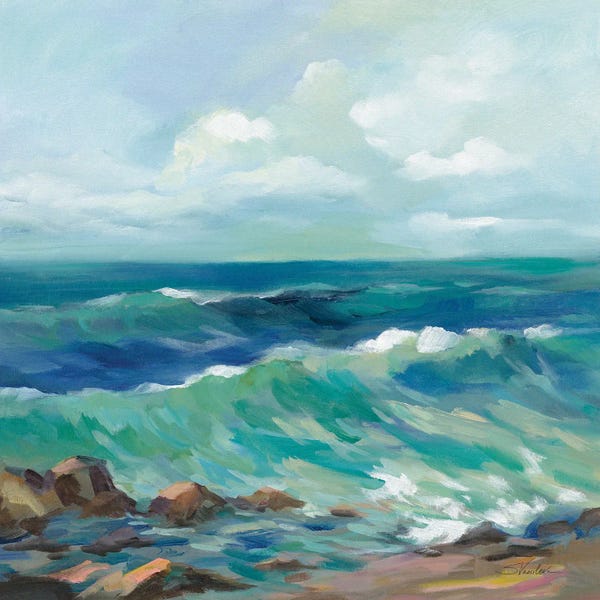 Waves: Rocky Beach by Silvia Vassileva