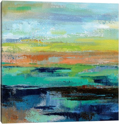 Delmar Sunset III Canvas Art Print - Silvia Vassileva