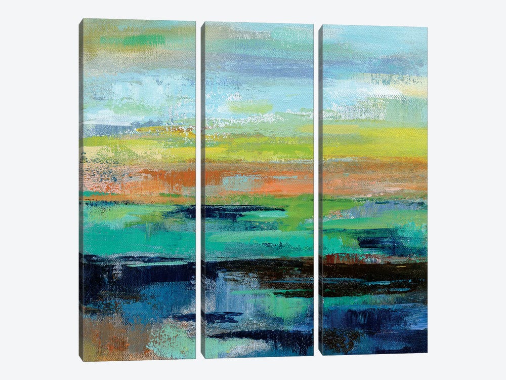 Delmar Sunset III by Silvia Vassileva 3-piece Canvas Art