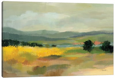 Sunflower Field Canvas Art Print - Field, Grassland & Meadow Art