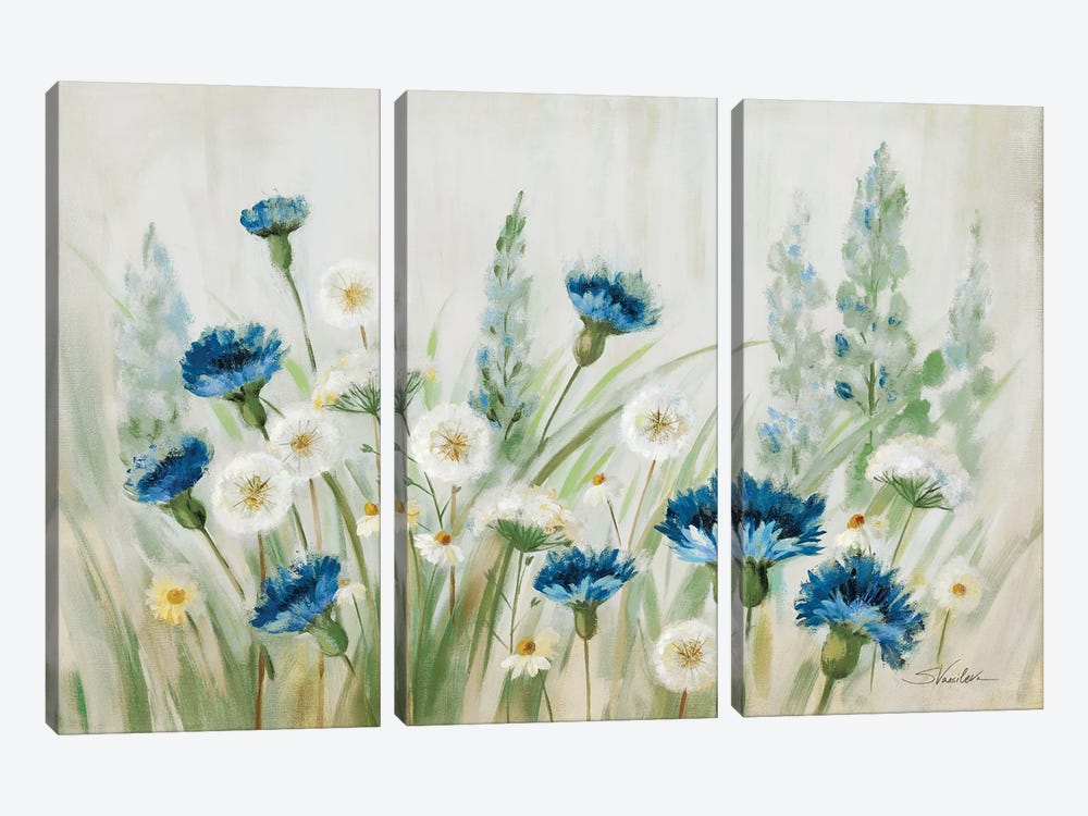 Fleurs des Champs by Silvia Vassileva 3-piece Canvas Art
