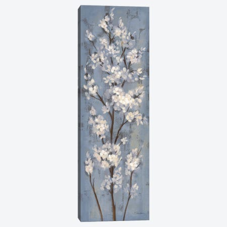 Almond Branch II On Slate Blue Canvas Print #SIV360} by Silvia Vassileva Canvas Art Print