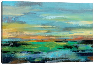 Delmar Sunset I Canvas Art Print - Silvia Vassileva