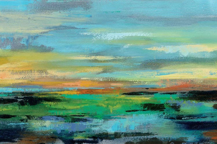 Delmar Sunset I by Silvia Vassileva wall art