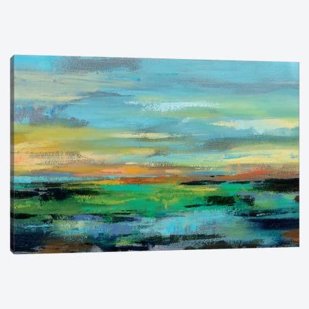 Delmar Sunset I Canvas Print #SIV40} by Silvia Vassileva Canvas Art Print