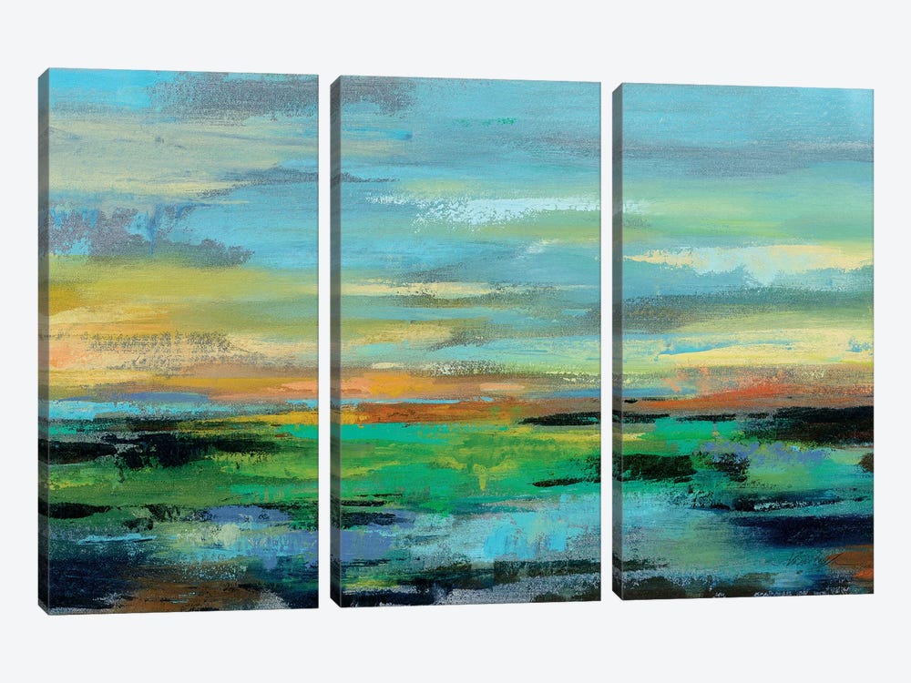 Delmar Sunset I by Silvia Vassileva 3-piece Canvas Artwork