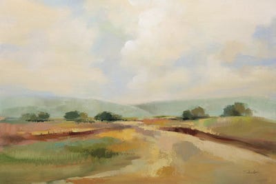 Glowing Sky by Silvia Vassileva metal wall art