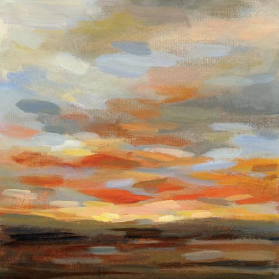 High Desert Sky II by Silvia Vassileva acrylic art print