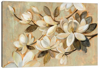 Magnolia Simplicity Canvas Art Print
