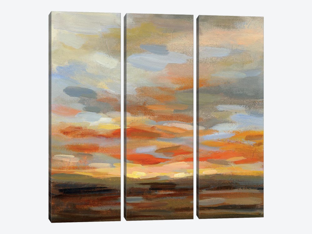High Desert Sky II by Silvia Vassileva 3-piece Canvas Art