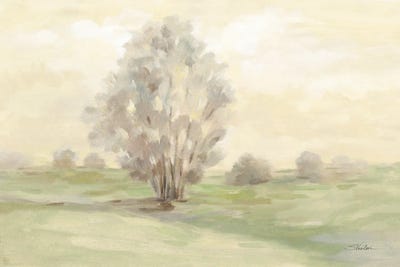 Muted Light Green by Silvia Vassileva acrylic art print