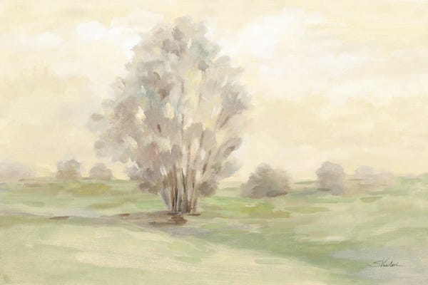 Silvia Vassileva: Muted Light Green by Silvia Vassileva