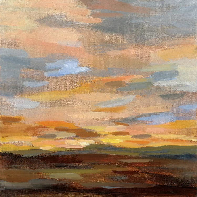 High Desert Sky III by Silvia Vassileva wall art