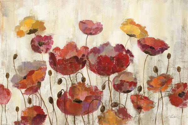 Poppies in the Rain
