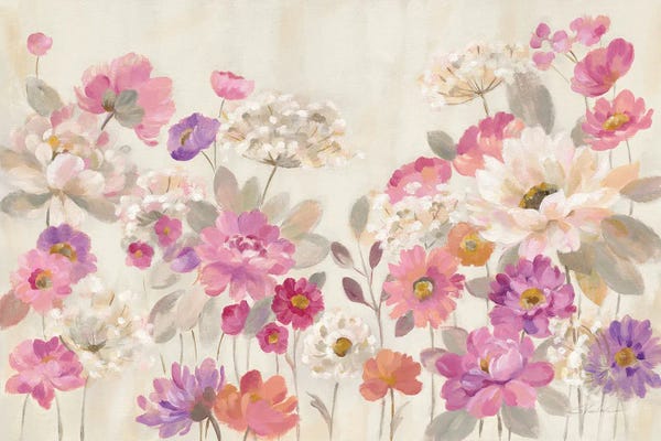 Queen Annes Lace Garden