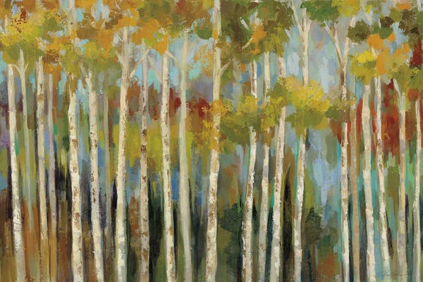 Birch Trees: Young Forest III by Silvia Vassileva