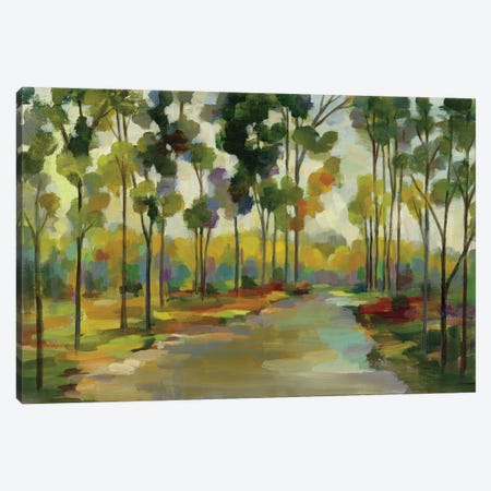 Path in the Forest Canvas Print #SIV9} by Silvia Vassileva Canvas Wall Art