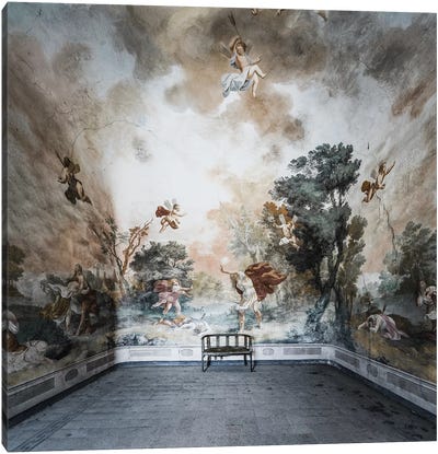 Damiani II Canvas Art Print - Simon Yeung