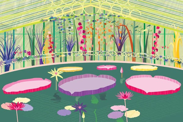 Water Lilies: Waterlily House by South Island Art