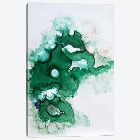 Green II Canvas Print #SJA39} by Sana Jamlaney Canvas Print