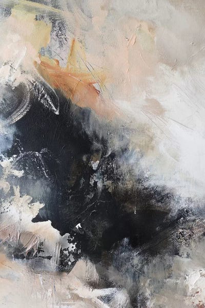 Looking Glass II by Sana Jamlaney canvas print