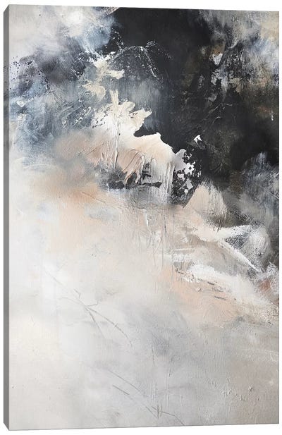 Crater Canvas Art Print - Sana Jamlaney