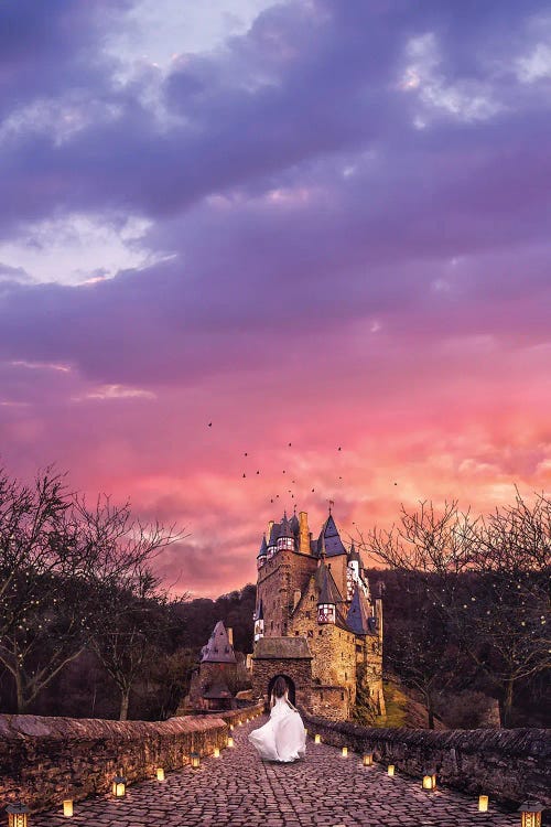 Adventure In The Castle by Siroj Hodjanazarov wall art
